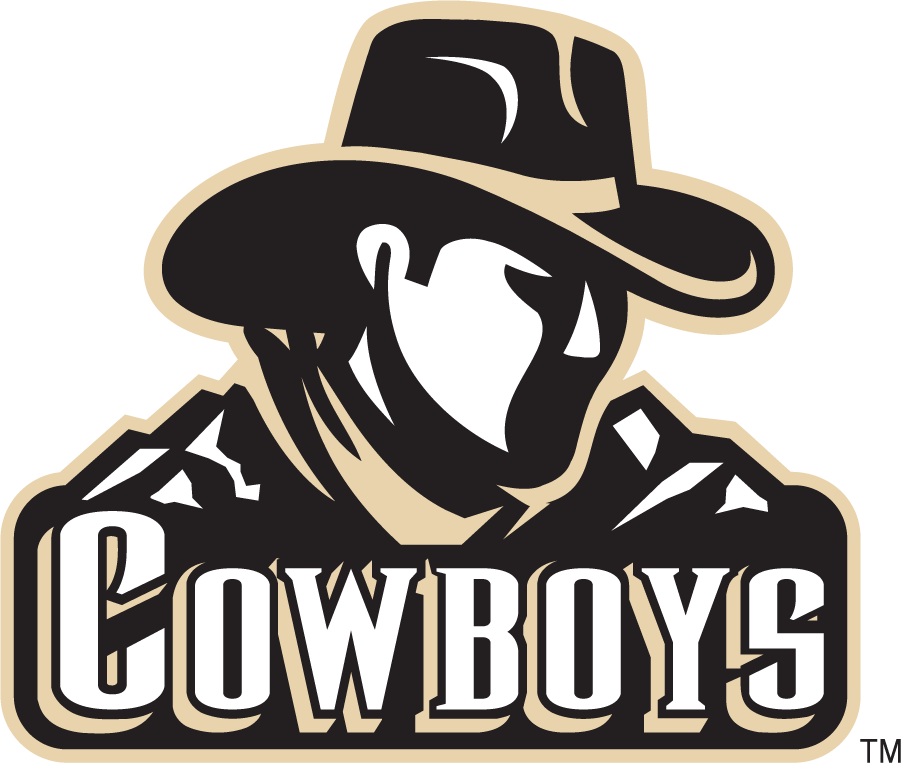 Wyoming Cowboys 2000-2007 Wordmark Logo v2 diy DTF decal sticker